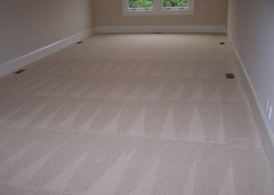 carpet1